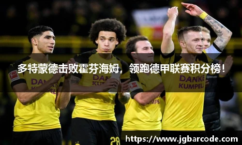 多特蒙德击败霍芬海姆，领跑德甲联赛积分榜！